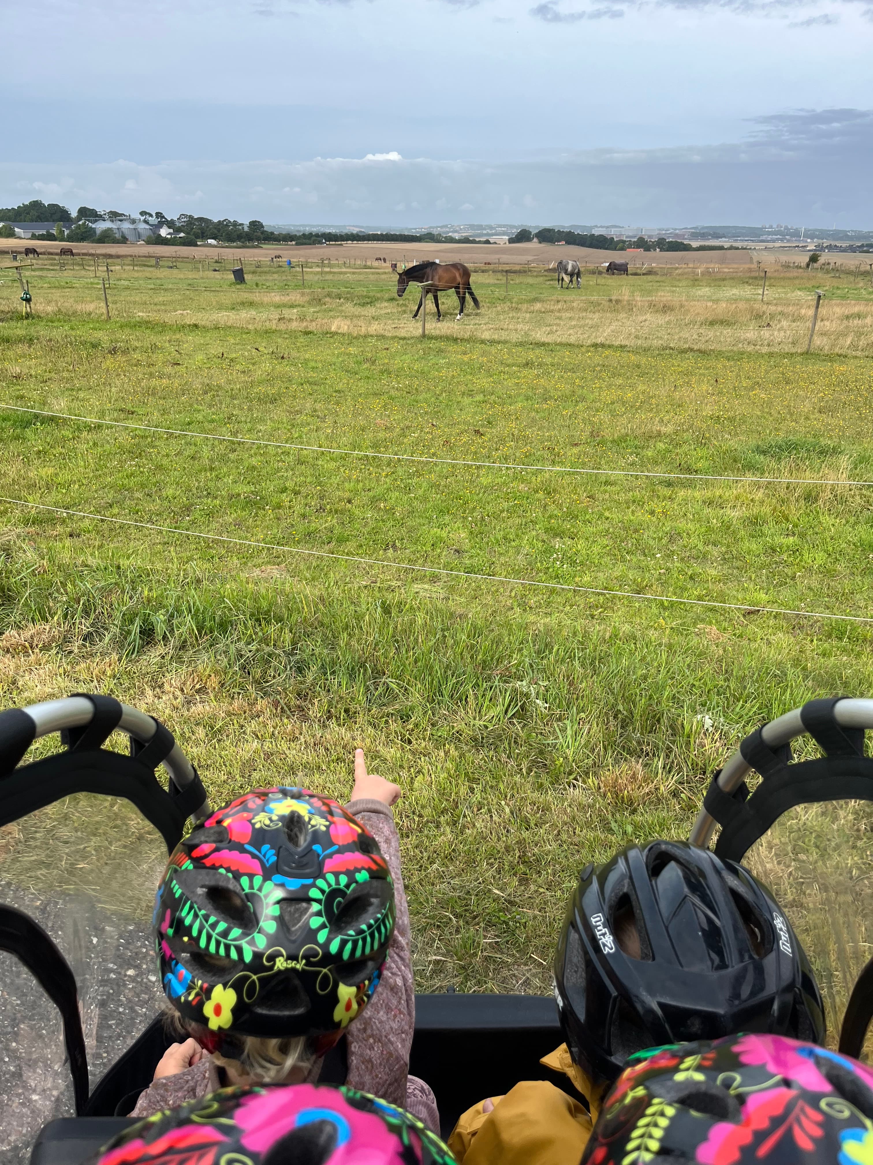 Ude og sige hej til hestene på Rideskolen